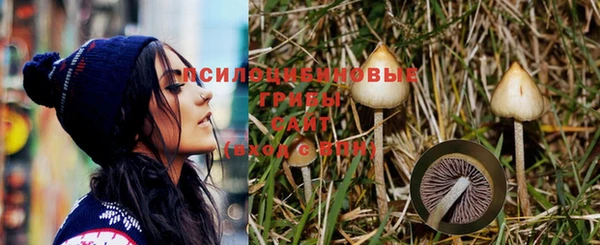 прущая мука Краснослободск