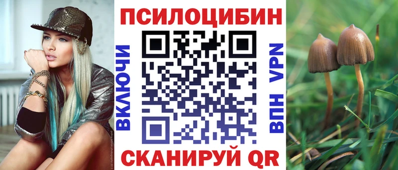 где купить   Хотьково  МЕГА зеркало  Псилоцибиновые грибы Cubensis 